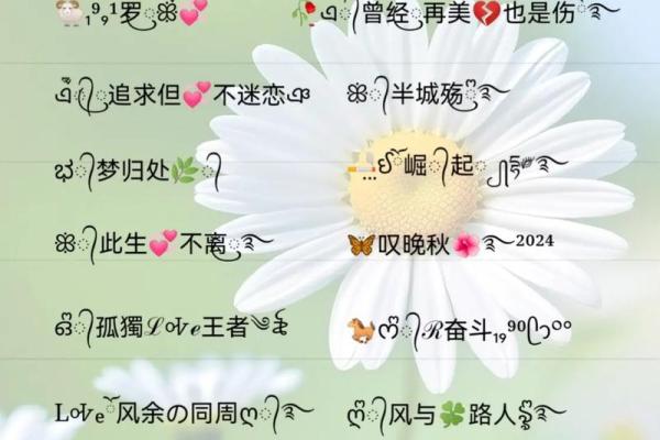 阳光可爱风格女生微信名字,展现独特魅力 阳光可爱风格女生微信名字,展现独特魅力