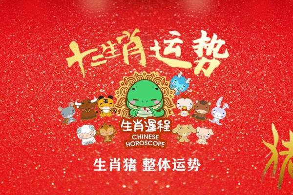 属猪人的运势走向及应对策略