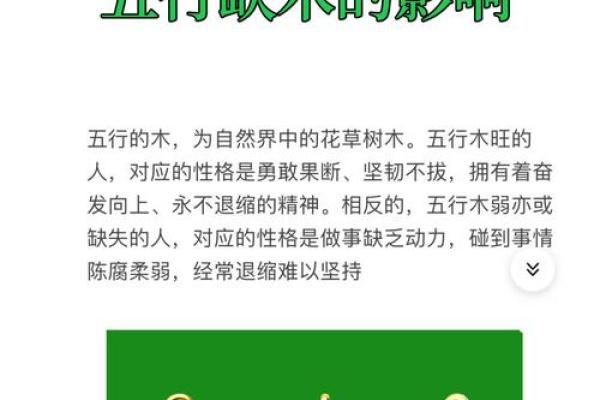 木牛五行缺什么?揭秘五行中最容易被忽视的元素 木牛五行缺什么?揭秘五行中最容易被忽视的元素