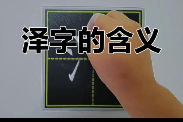 泽字在名字中的文化象征意义 泽字在名字中的文化象征意义