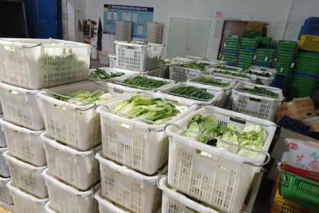 蔬菜配送公司命名技巧与成功案例分享