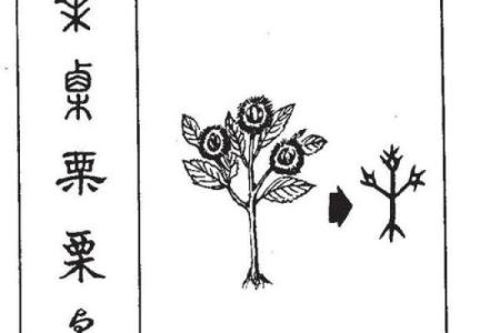 给宝宝起个带粟字的名字，象征丰收与繁荣