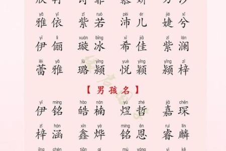 为姓“是”的宝宝起名：让名字更具文化底蕴