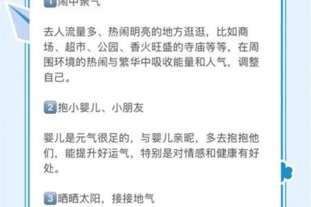 迎接猪年好运：如何调整自己的生活以抓住机会