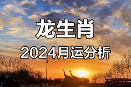 属龙人士事业运势分析