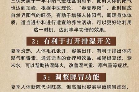 如何根据农历庚日调整生活和事业运势？