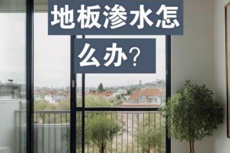 如何避免办公室漏水对风水的负面影响