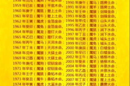 黄磊八字分析：他的人生运势如何影响演艺事业
