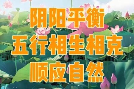 走进中国风水大师的世界：解读风水背后的深层哲理