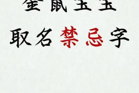 鼠宝宝命名灵感 适合各类风格的精选名字