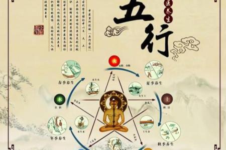 五行十二宫解析：揭开古代命理的神秘面纱