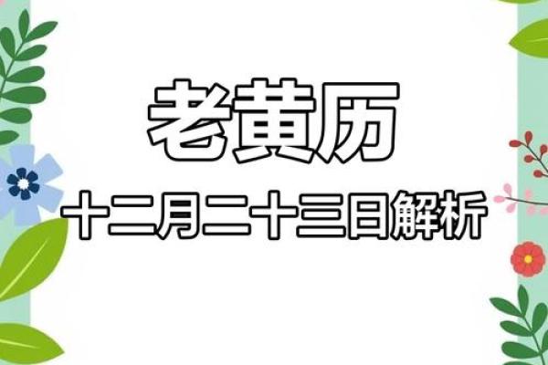 今日属兔运势解析,心态决定未来 今日属兔运势解析,心态决定未来
