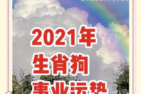 属狗人农历九月的爱情运势解析 属狗人农历九月的爱情运势解析
