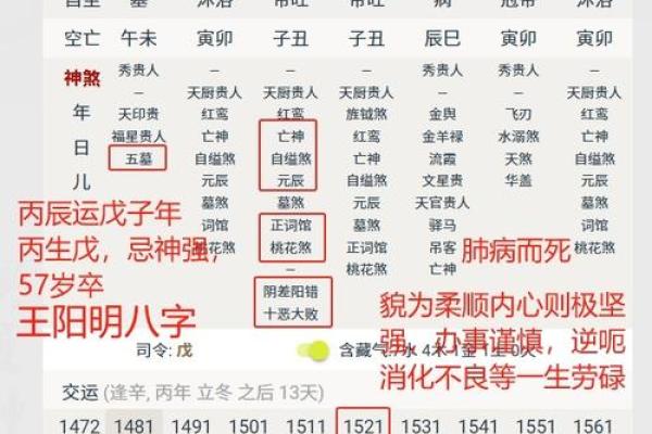 八字胎元揭秘:如何通过胎元了解你的命运密码 八字胎元揭秘:如何通过胎元了解你的命运密码