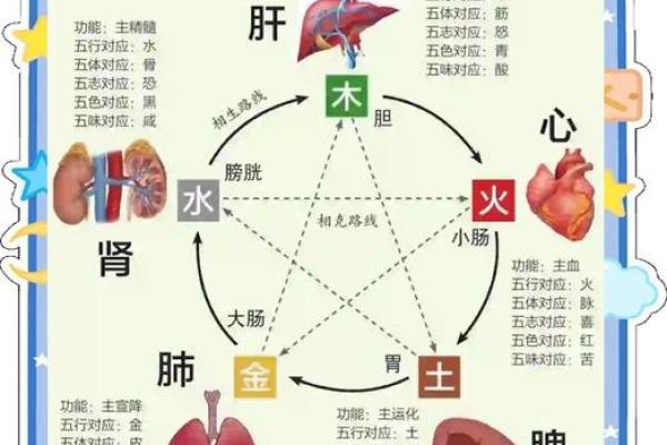 新生儿五行缺失查询表:如何通过五行平衡了解宝宝健康状况 新生儿五行缺失查询表:如何通过五行平衡了解宝宝健康状况