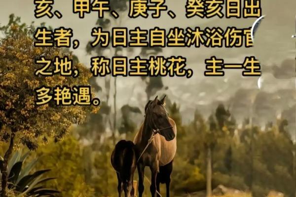 光棍八字如何影响感情运势? 光棍八字如何影响感情运势?