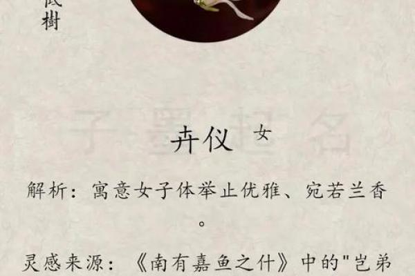 卉字的五行属性解析，你知道它属于什么吗？
