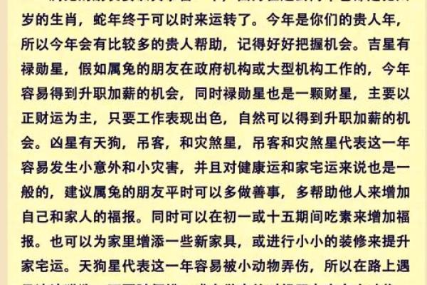 属兔人在新的一年里财运与事业运如何 属兔人在新的一年里财运与事业运如何