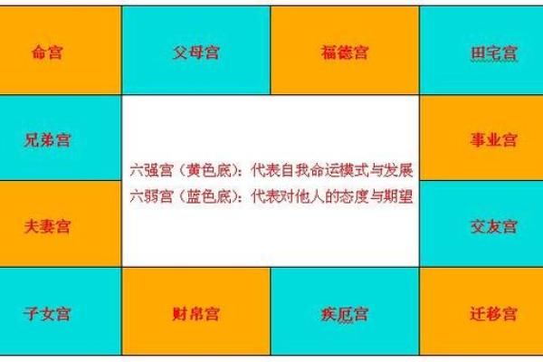 八字星宿解析:如何通过命盘了解你的运势秘密 八字星宿解析:如何通过命盘了解你的运势秘密