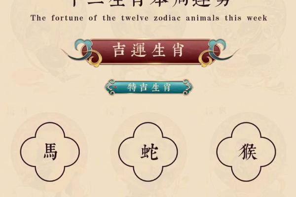 属相与十二月运势:如何迎接年底的好运 属相与十二月运势:如何迎接年底的好运