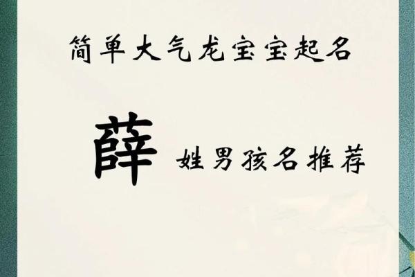 如何为薛宝宝起一个充满温馨与希望的名字 如何为薛宝宝起一个充满温馨与希望的名字