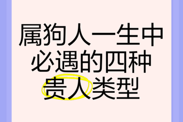 属狗八字命运解析:如何根据八字提升生活运势? 属狗八字命运解析:如何根据八字提升生活运势?