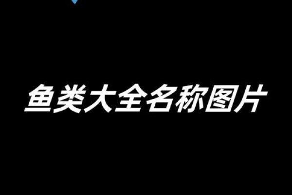 探索世界各地独特的鱼类名字及其背后的故事