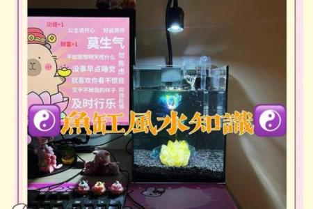 鱼缸在办公室风水中的重要性与注意事项