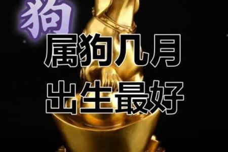 属狗人农历九月的爱情运势解析