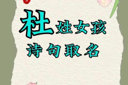 杜姓女孩名字精选：与众不同的名字推荐