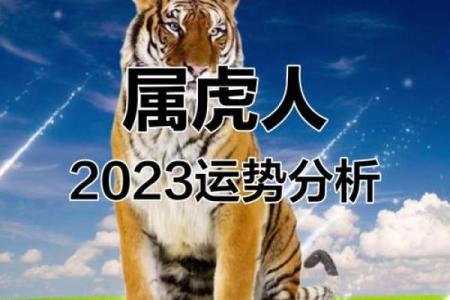 属虎万年历：2024年运势大揭秘，财富翻倍指南