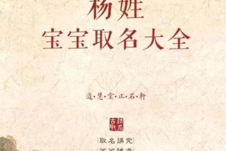 为杨宝宝挑选一个独特的名字