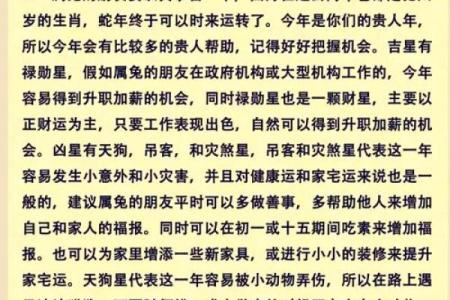 属兔人在新的一年里财运与事业运如何