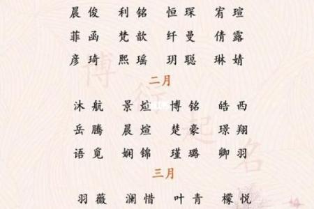 猪年宝宝命名宝典 精选寓意美好的名字参考
