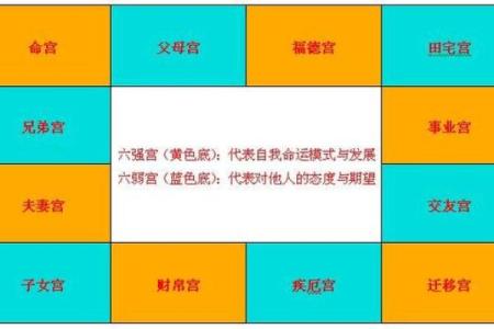 八字星宿解析：如何通过命盘了解你的运势秘密