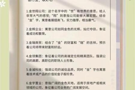 如何为公司起个独特且吸引人的名字