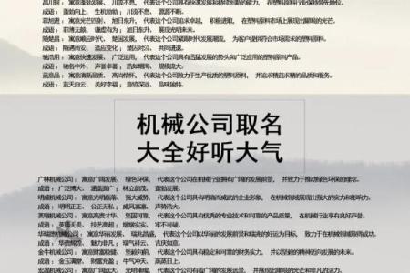 门公司起名时适合加入的字有哪些？