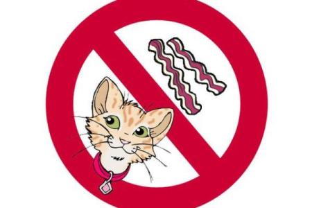 猪年宝宝命名必知的禁忌与注意事项