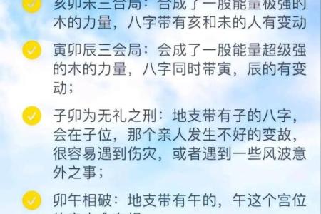 属狗八字命运解析：如何根据八字提升生活运势？
