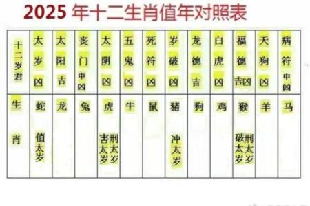 生肖计算大揭秘：公历与农历哪个更准确？
