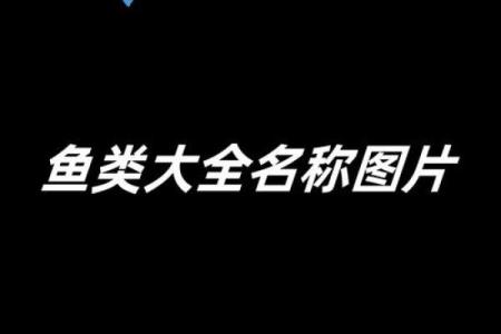 探索世界各地独特的鱼类名字及其背后的故事