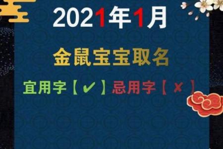 属鼠宝宝名字大全：为未来增添好运