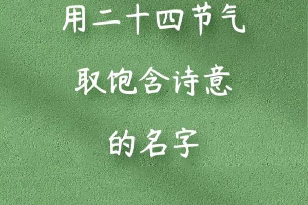 属狗宝宝起名风水指南：如何选个有利的名字