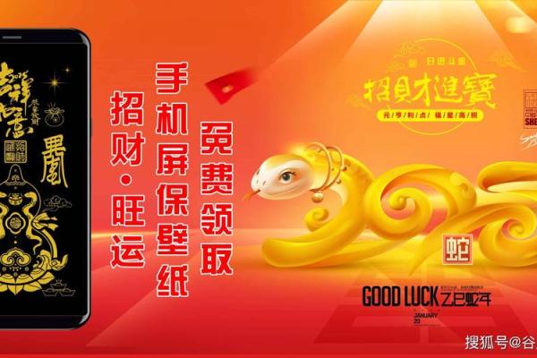 鸡生肖运程预测：全年运势波动与关键时机