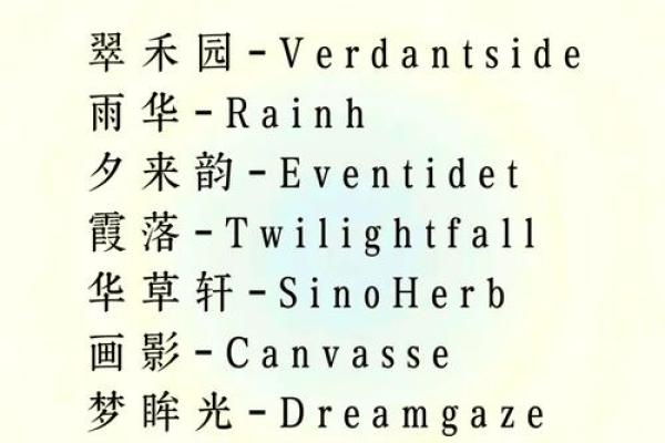 如何为信息技术公司起一个有吸引力的名字 如何为信息技术公司起一个有吸引力的名字