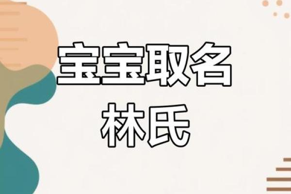 林姓男宝宝名字大全:传承文化与现代感并重的选择 林姓男宝宝名字大全:传承文化与现代感并重的选择
