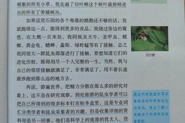 探索虫子名字中的科学奥秘