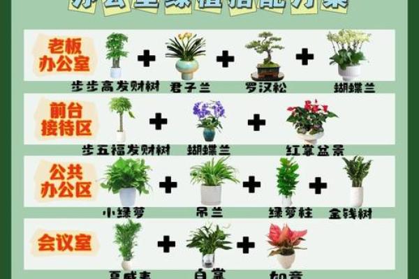 提升办公室风水的植物摆放技巧 提升办公室风水的植物摆放技巧