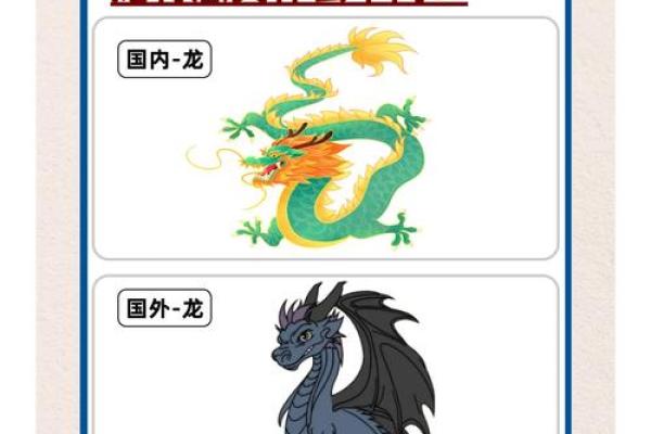 探寻世界各地的龙名：背后的神话与文化传承