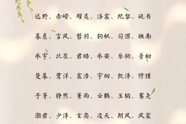 为什么选择什么君作为名字的寓意深刻 为什么选择什么君作为名字的寓意深刻